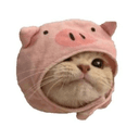 Pig Cat