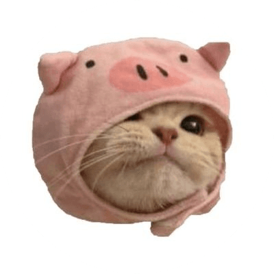 Pig Cat logo