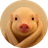 pib