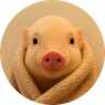 pig in a blanket