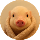 pig in a blanket