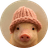 pigwif