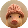 pig wif hat