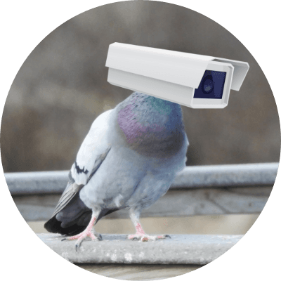Pigeon Tech logo