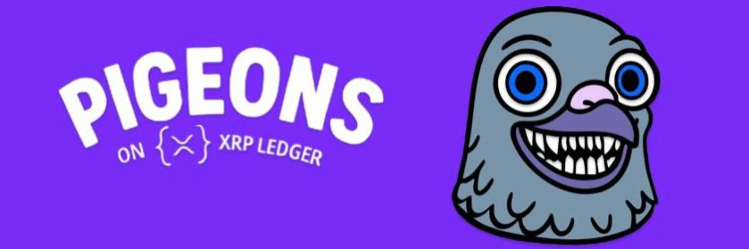 PIGEONS banner