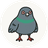 PIJIN