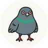 PIJIN