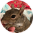 PIP 