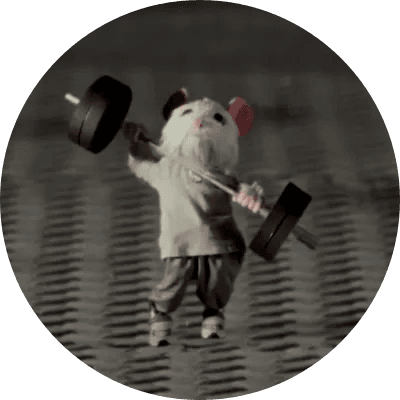 Pip logo