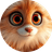 PIPI