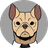 BULL