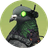PJN