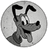 PLUTO