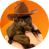 Pnut the Squirrel