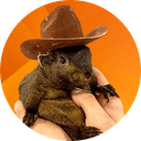 Pnut the Squirrel