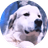 TUCKER