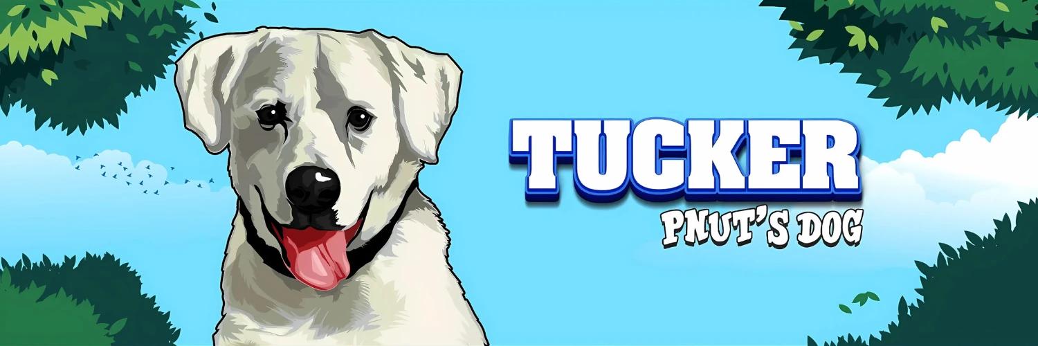 Pnut's Dog banner
