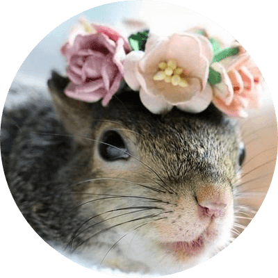 Pnuts Girlfriend logo