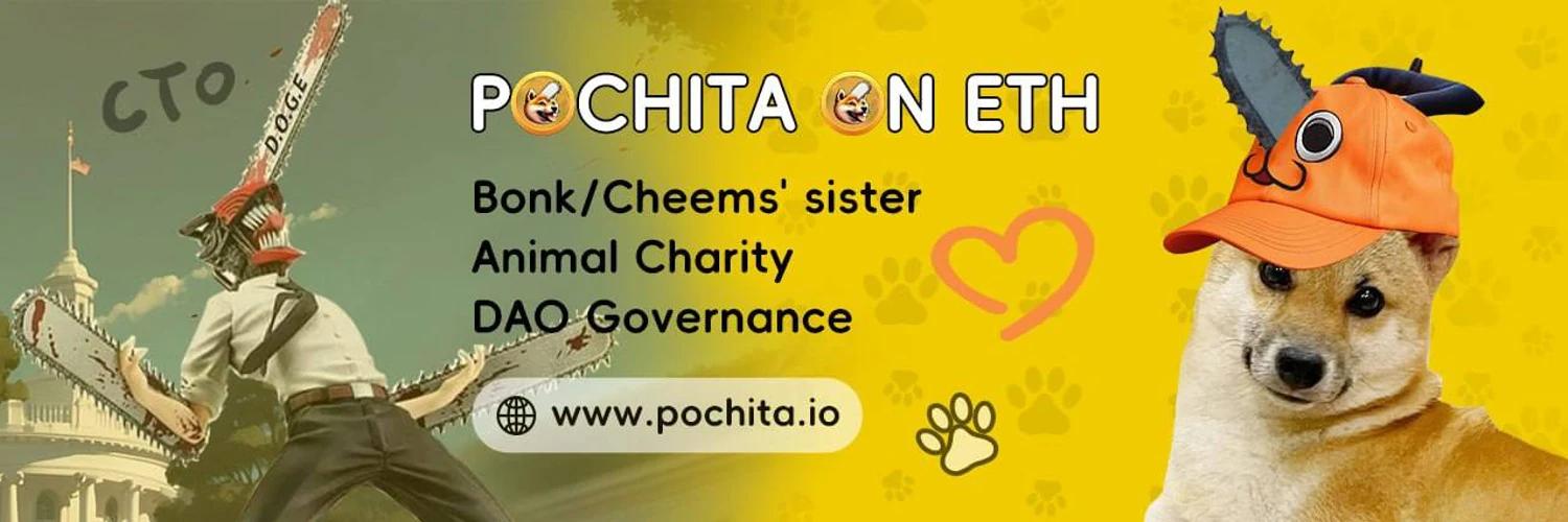 Pochita banner