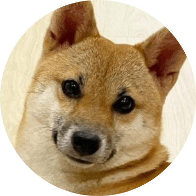 pochita logo