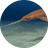 Pochita