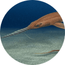 Pochitaserra patriciacanalesae