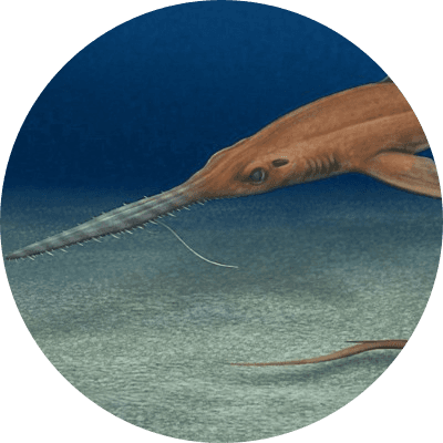 Pochitaserra patriciacanalesae logo