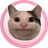 POCAT