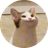 POPCAT