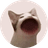 POPCAT