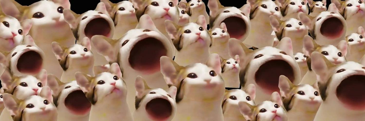 Popcat banner