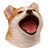 POPDOG