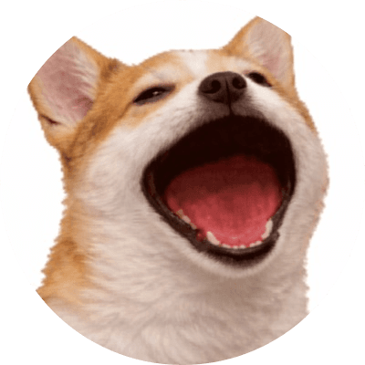 POPDOG logo