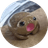 popo