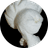 POPLT