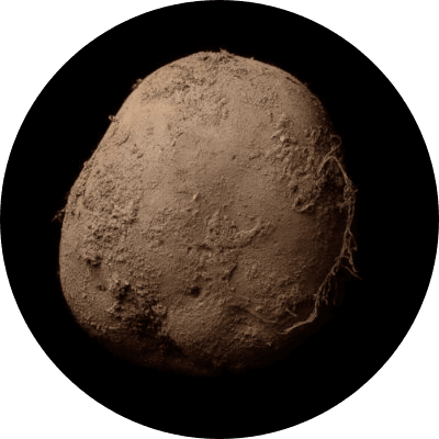 Potato #345 logo