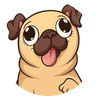 Pug Inu