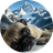 PugLuv