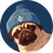 PUGWIF