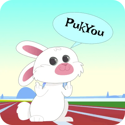 PukYou    logo