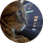 PUMPCAT