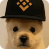PUP