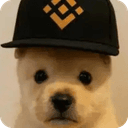 PUP