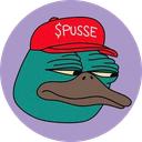 Pusse