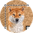 qrDOG