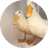 Quaks