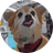 QUBIT