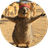 Quokka