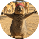 Quokka