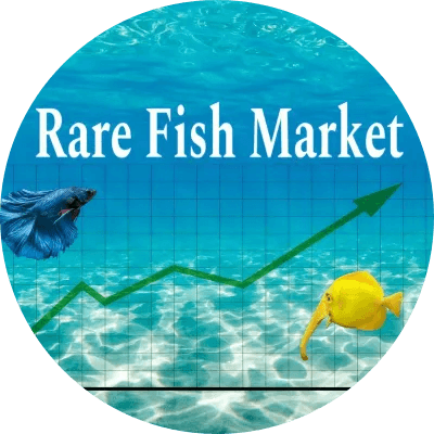 RareFishMarket logo